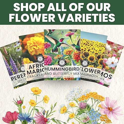 Miniatura 7 de Mezcla de especies perennes - Paquete grande de 1 onza - 15,000 semillas de flores para la plantación - Mezcla de flores silvestres