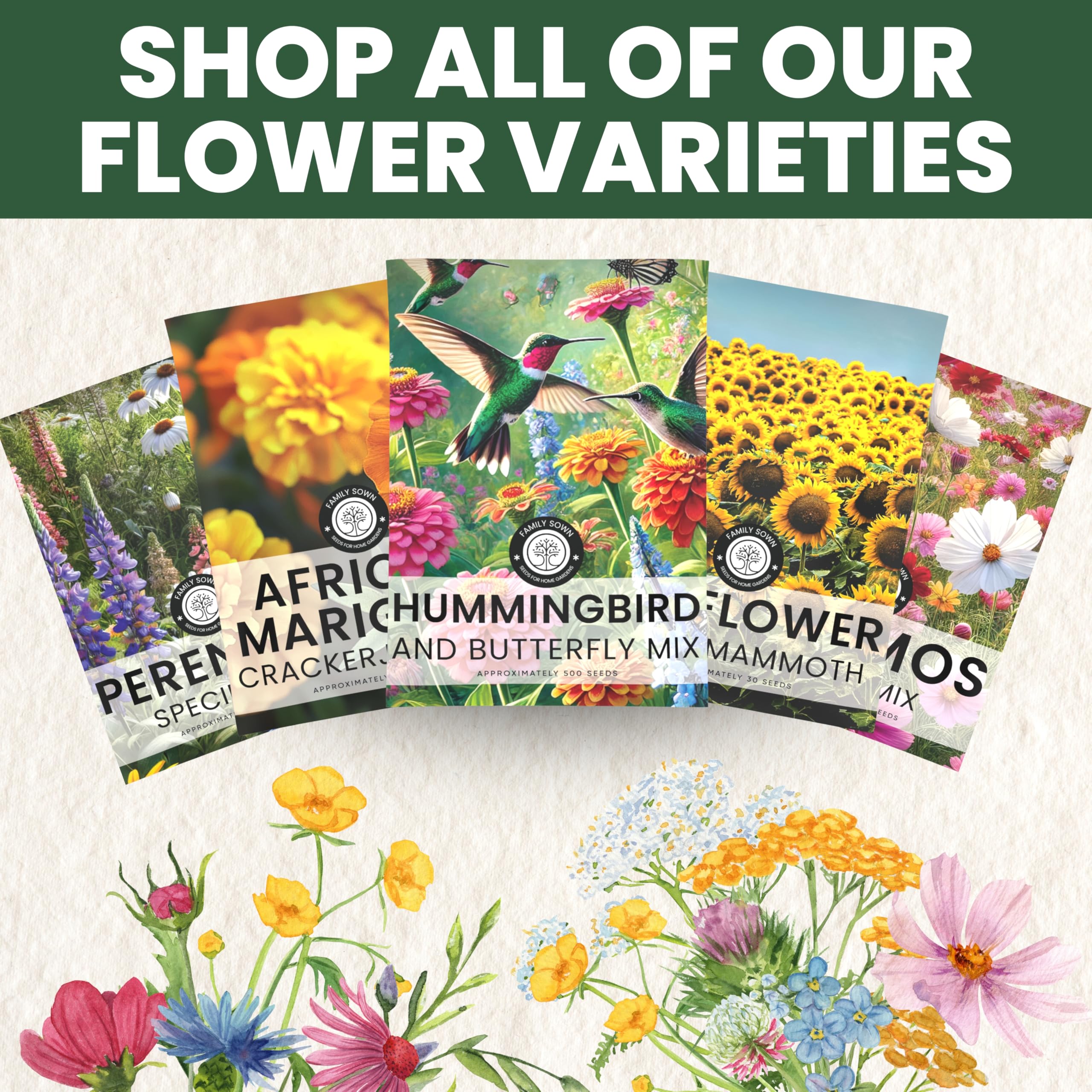 Perennial Species Mix - Paquete grande de 1 onza - 15,000 semillas de flores para plantar - Mezcla de flores silvestres 7