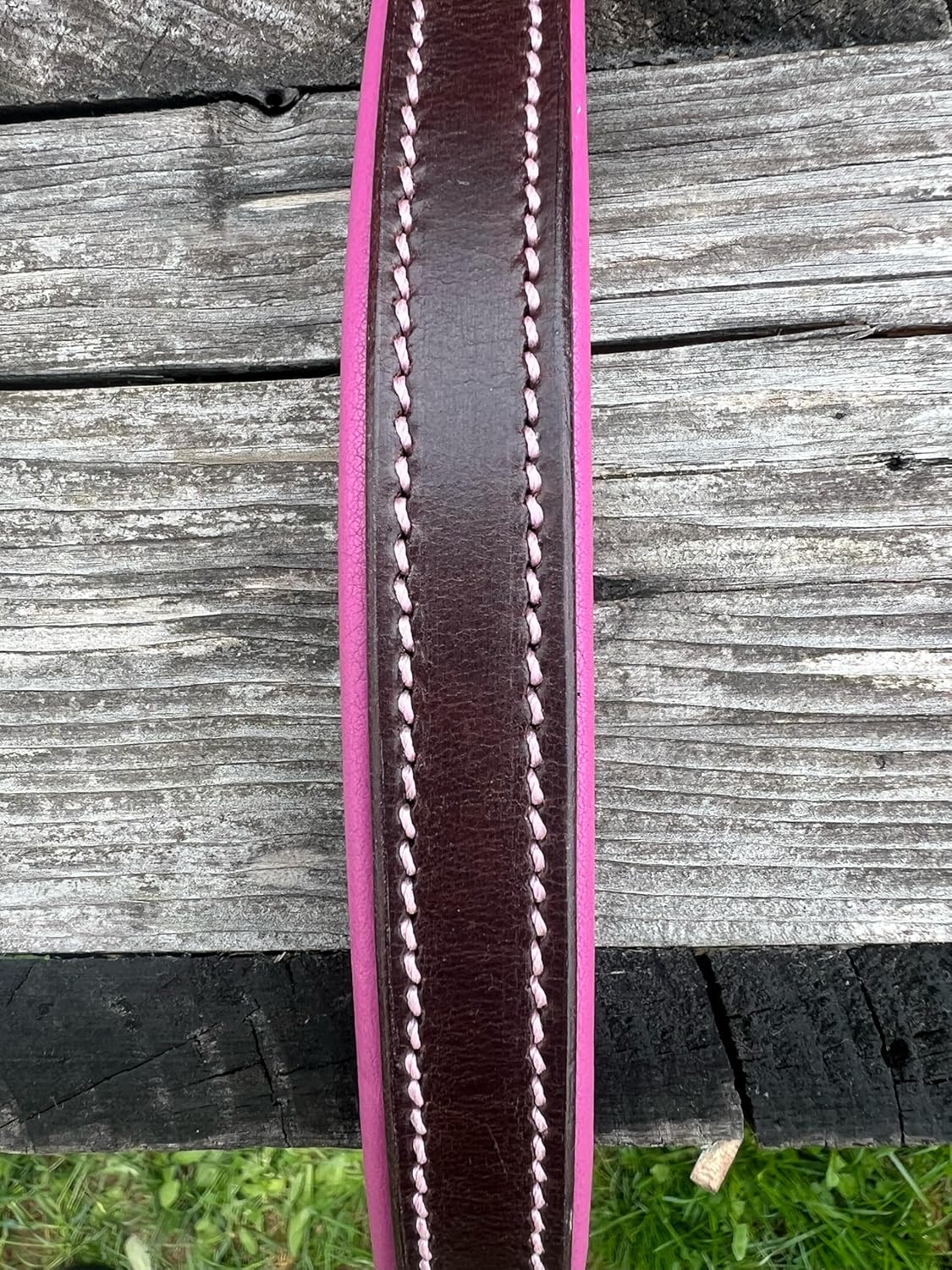 Leaders Leather Dog Collar with Customized Name Plate (Pink/Brown Medium/Large (15"-19"))