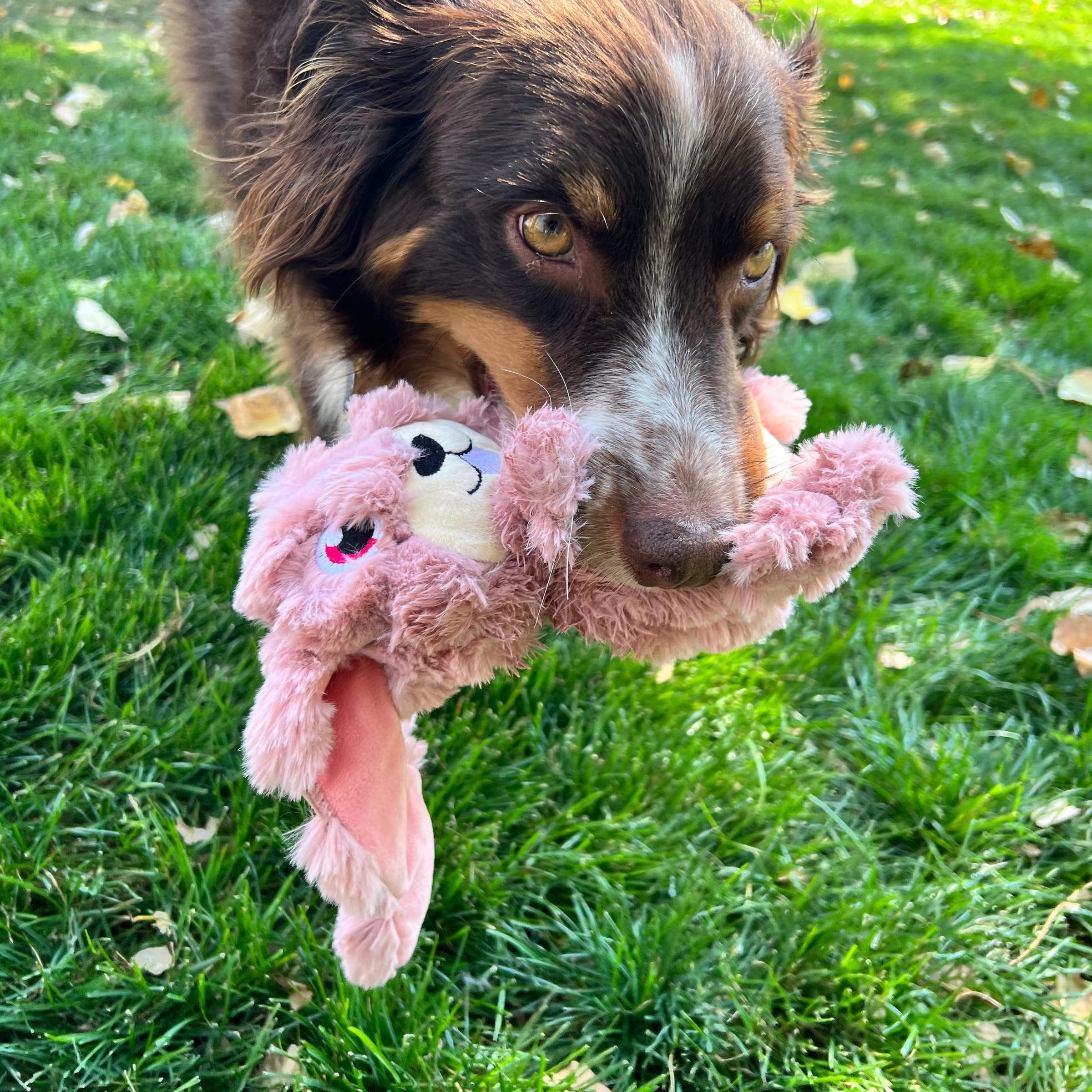 KONG Scrumplez - Juguete chirriante de felpa suave para juegos interactivos, relleno de diversión extra chirriante, duradero y atractivo para perros (conejo rosa)