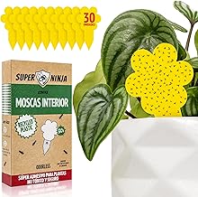 Super Ninja Fly Traps – Pack of 30 Adhesive Plant Traps, Effective Against Indoor Flies, Non-Toxic and Eco-Friendly Plant Insecticide, Up to 3 Months Lasting