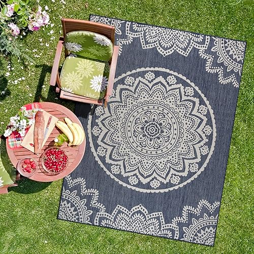 CAMILSON Outdoor Rug - Modern Area Rugs for Indoor and Outdoor patios, Kitchen and Hallway mats - Washable Outside Carpet (8x10, Medallion - Blue/White)
