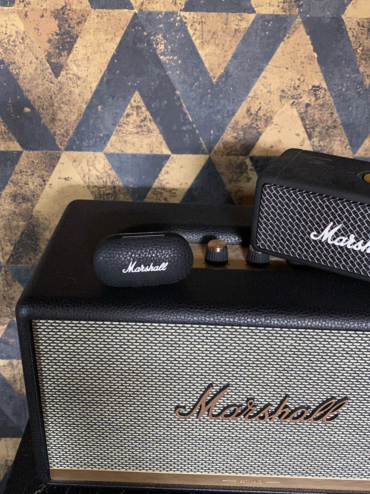 脳が揺れます！