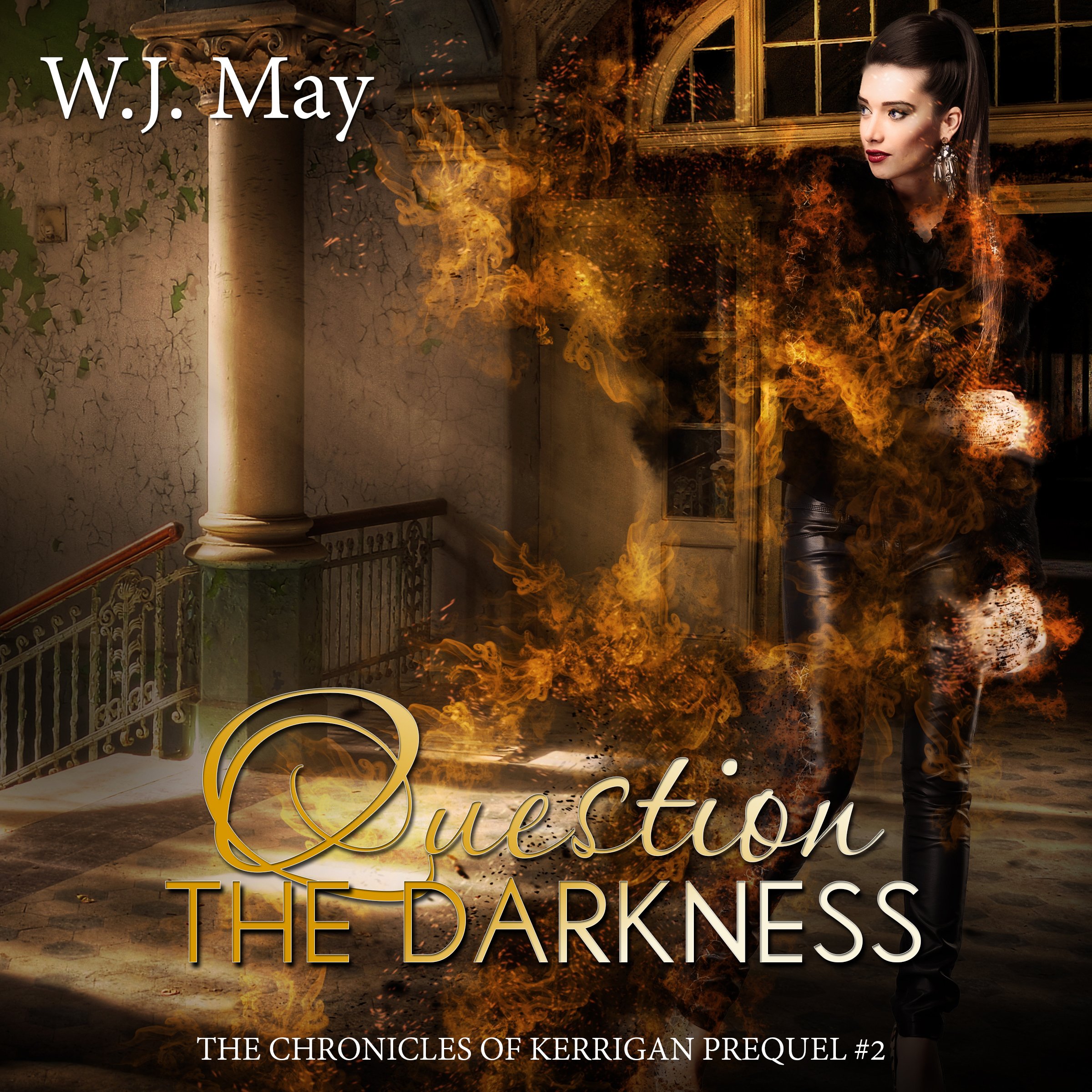 Cover art for Question the Darkness