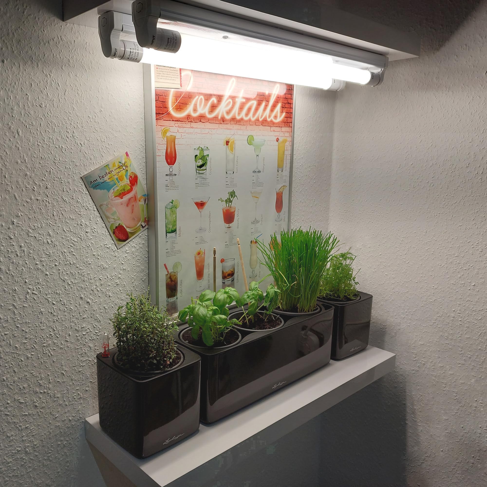 LED Pflanzenlampe Leuchtröhre 3500 Kelvin, 120cm G13 T8 mit Fassung