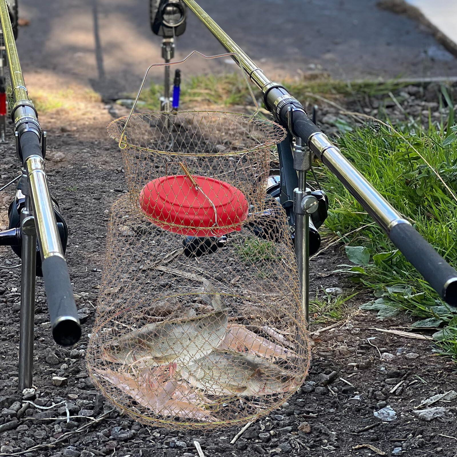 ifundom Gabbia per Pesca Cestino Porta Pesci Oro con Ciotola Galleggiante in Ferro Pratica e Facile da Trasportare per Pesca Subacquea e Attività All'aperto