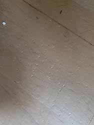 Jazooli Office Chair Mat For Carpet Floors 100cm X 68cm | INDIA