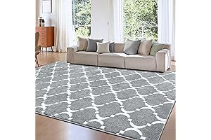 Soft Shag Grey 5x8 Area Rug for the Classroom