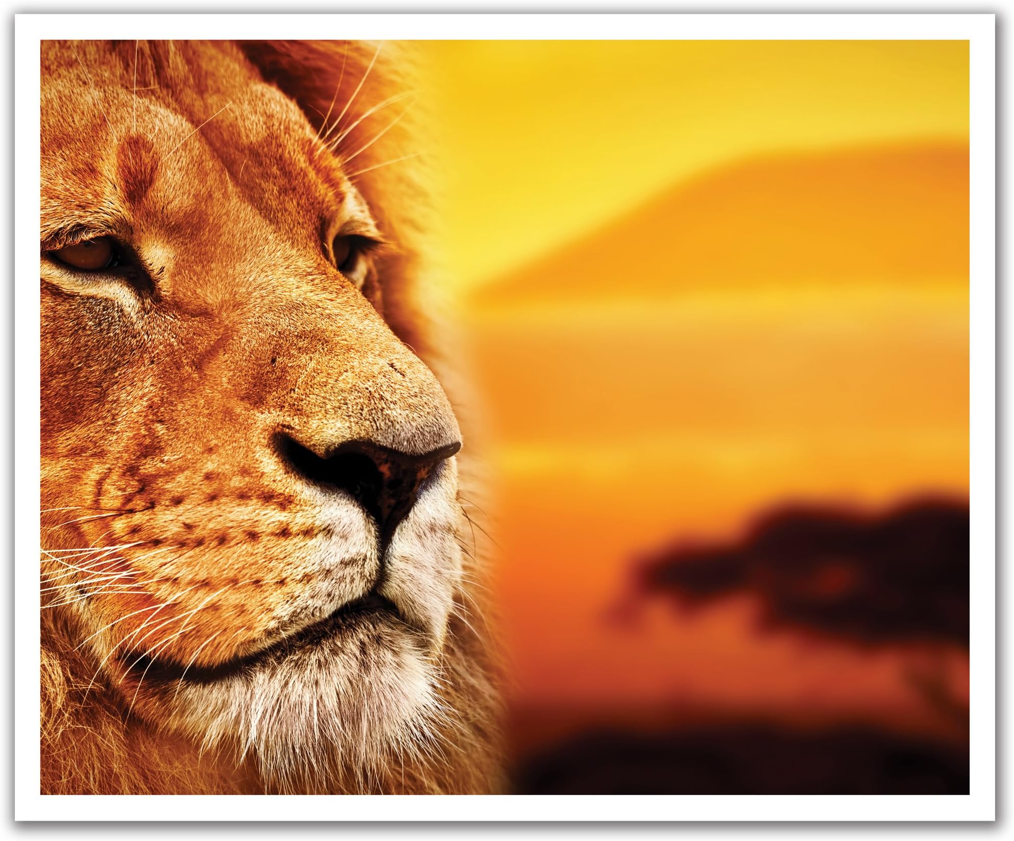 JP London POS2407 uStrip Peel and Stick Removable Wall Decal Sticker Mural Lion King Mufasa Simba Africa, 24-Inch by 19.75-Inch