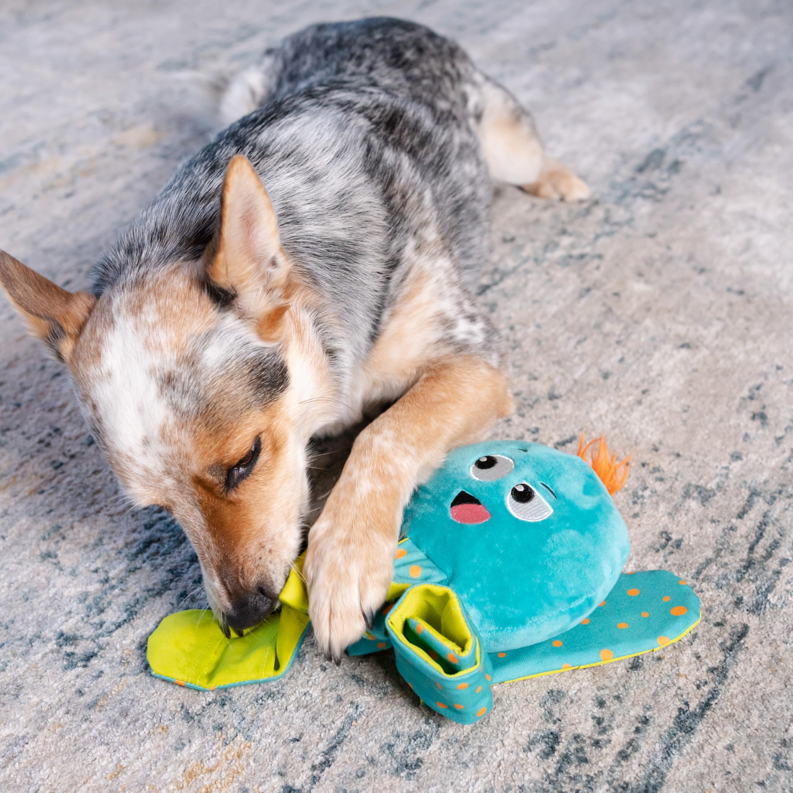 Outward Hound by Nina Ottosson Silly Legz Interactive Plush Dog Puzzle, Dog Enrichment Toys, Plush, Floppy, Long, Octopus, Blue - image 5