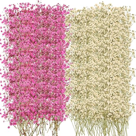 Baby's Breath Dried Flowers: Natural Beauty for Your Home and Crafts