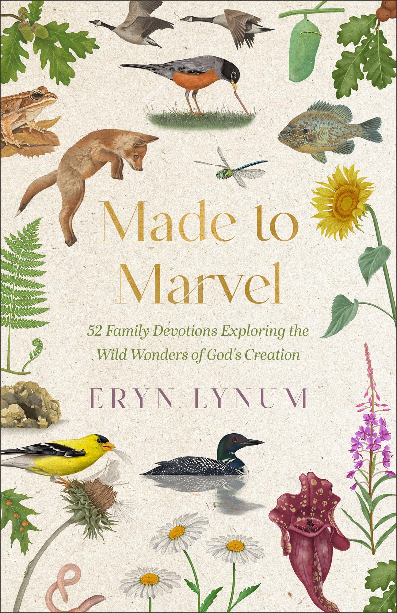 Made to Marvel: 52 Family Devotions Exploring the Wild Wonders of God's Creation