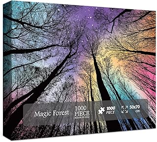 BBOLDIN Hard Impossible Puzzles for Adults 1000 Piece, Challenging Difficult Puzzles for Adults, Colorful Gradient Jigsaw ...