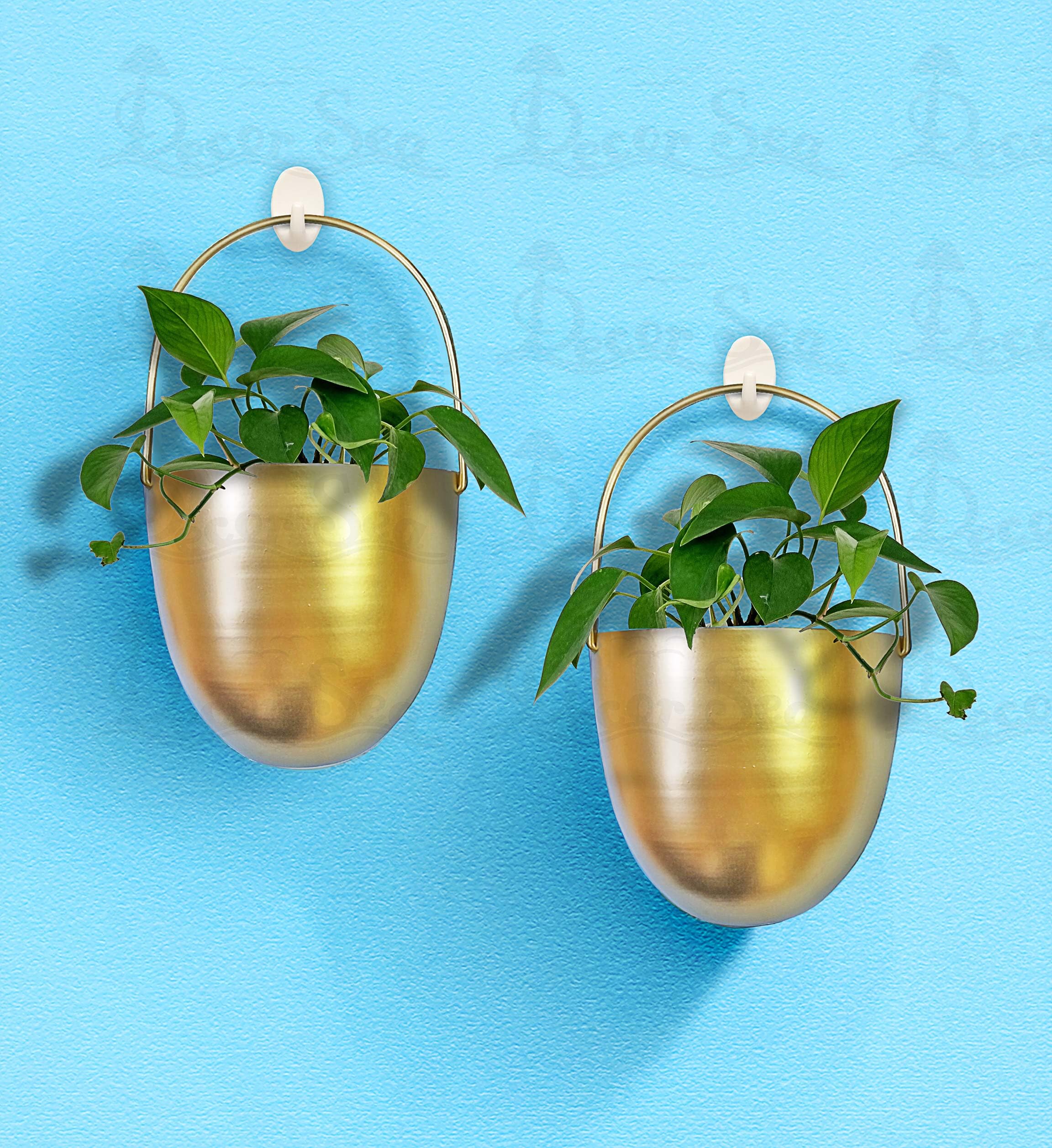Decor Sea® Wall Hanging Metal Planter for Balcony Living Room Patio Garden Wall Mount Indoor Plant Flower Pot Home Decoration Combo of 2 Golden (Set of 2)-image-7