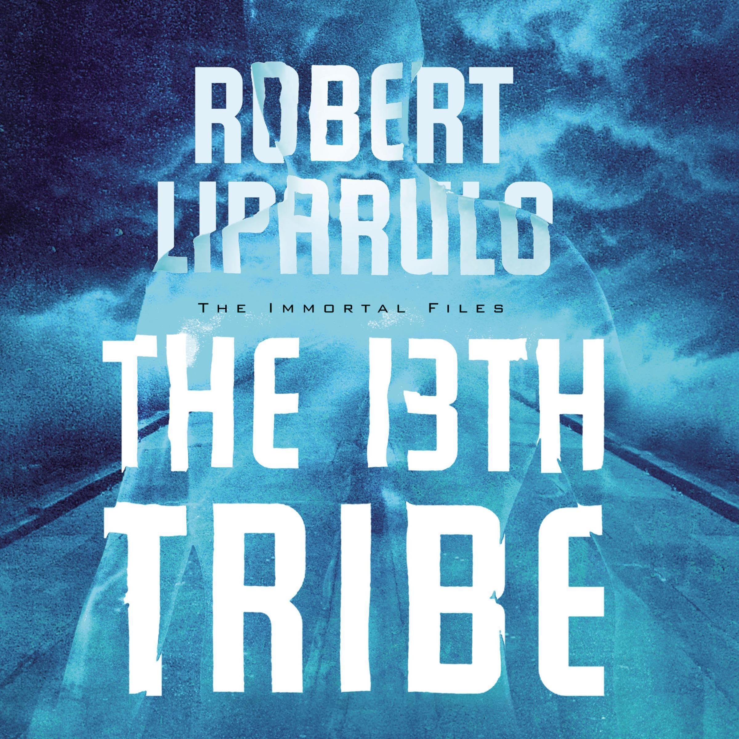 Cover art for The 13th Tribe