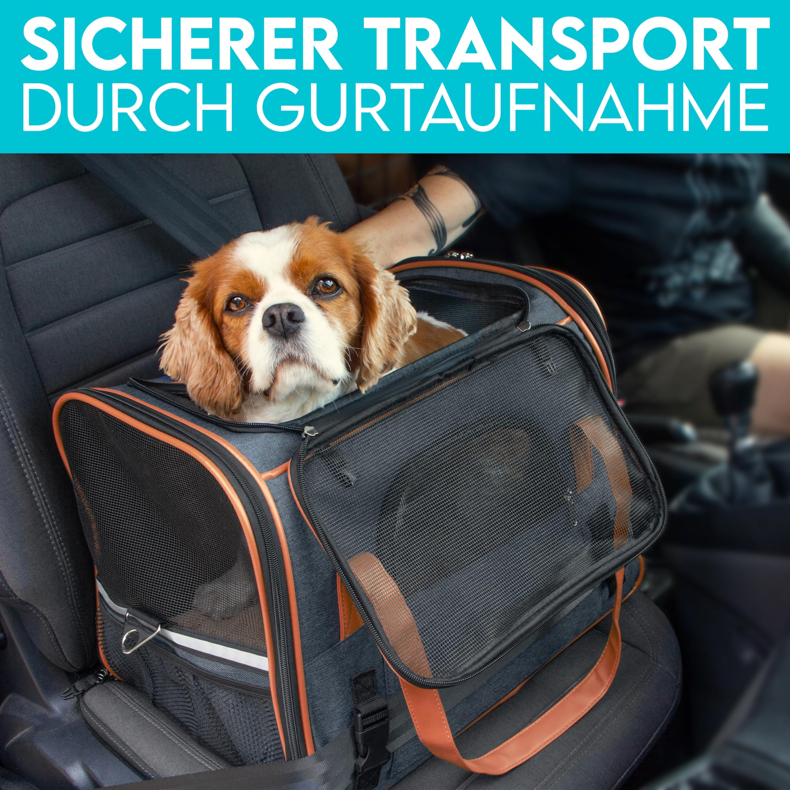 HUND IST KÖNIG Borsa per cani e gatti fino a 8 kg – Borsa per il trasporto di cani di alta qualità – Borsa per il trasporto per gatti – Pieghevole portatile per cani e gatti