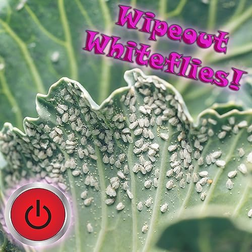 Miniatura 5 de Npk Mighty de 7 galones (Mi Etiqueta)