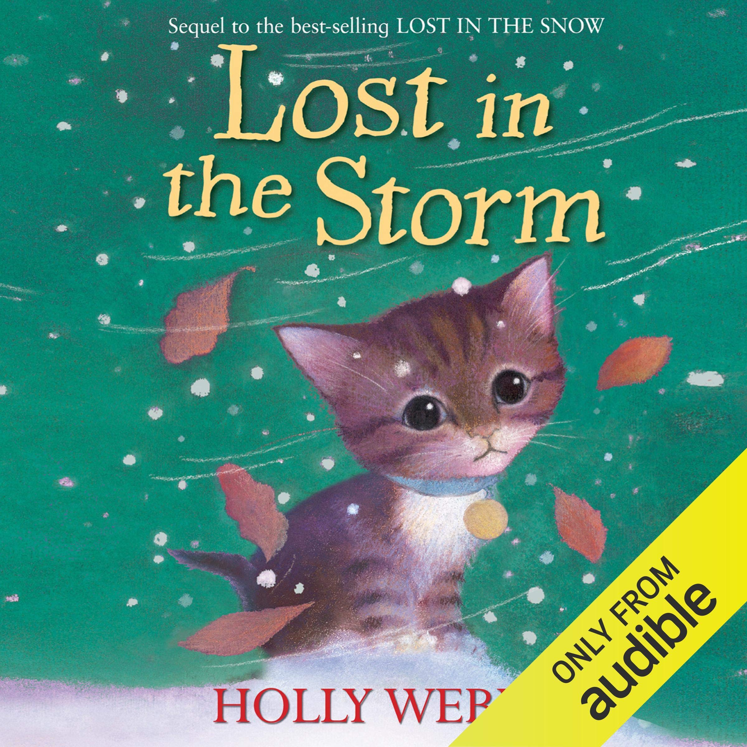Cover art for Lost in the Storm