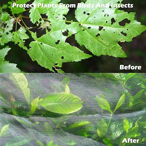 Miniatura 5 de Red de jardín grande de 8 x 8 pies, cubierta para árbol frutal para jardín, insectos, con cordón, pantalla transparente que protege las plantas de