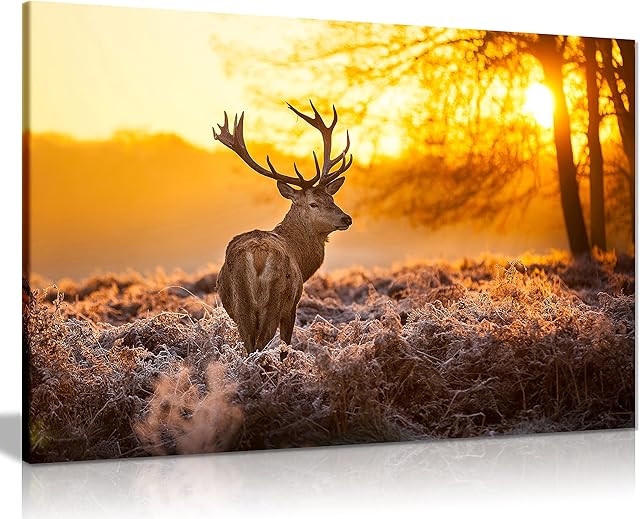 Red Deer In Morning Sun Canvas Wall Art Picture Print (24X16)