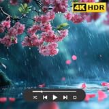 Rain Screensavers: Peaceful Storm Sleep Sounds