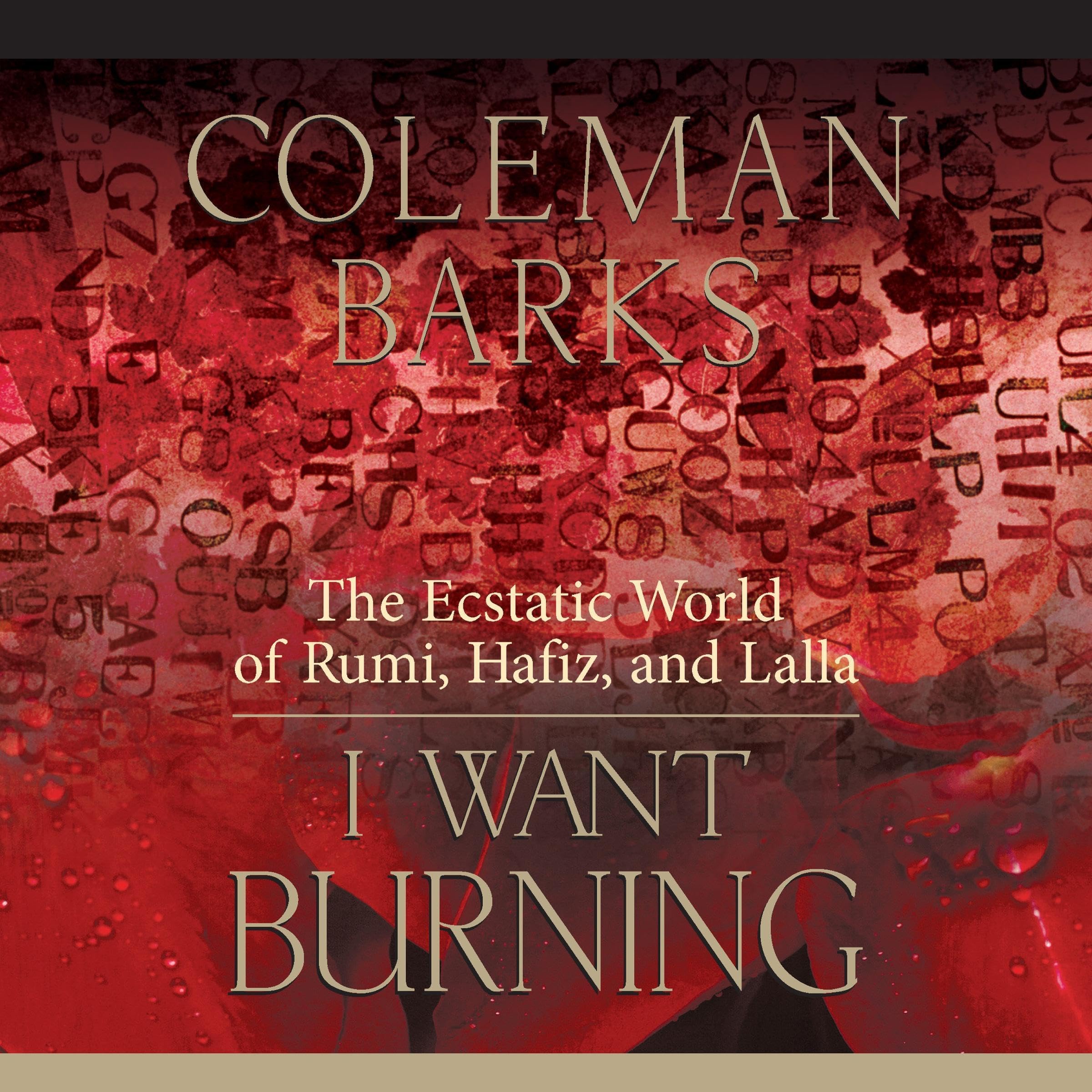 Cover art for I Want Burning