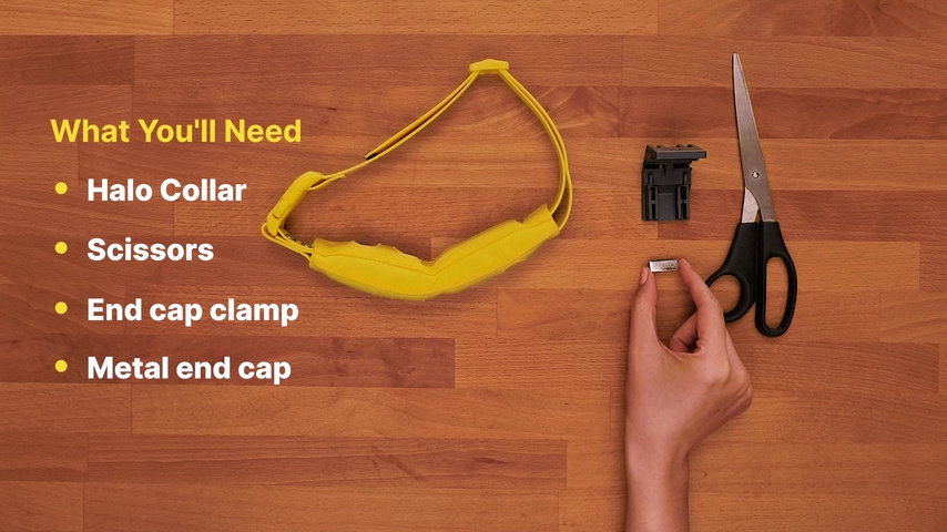 Halo Collar 5 Wireless Dog Fence & GPS Dog Collar, Keep Your Dog Safely Contained Outdoors with App-Controlled Boundaries and Real-Time Tracking, One Size, Midnight - image 8