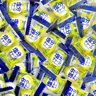 【100粒】スポーツドリンク味 カバヤ 塩分チャージタブレッツ 大容量 熱中症対策 暑さ対策グッズ 個包装 (スポーツドリンク味100個)