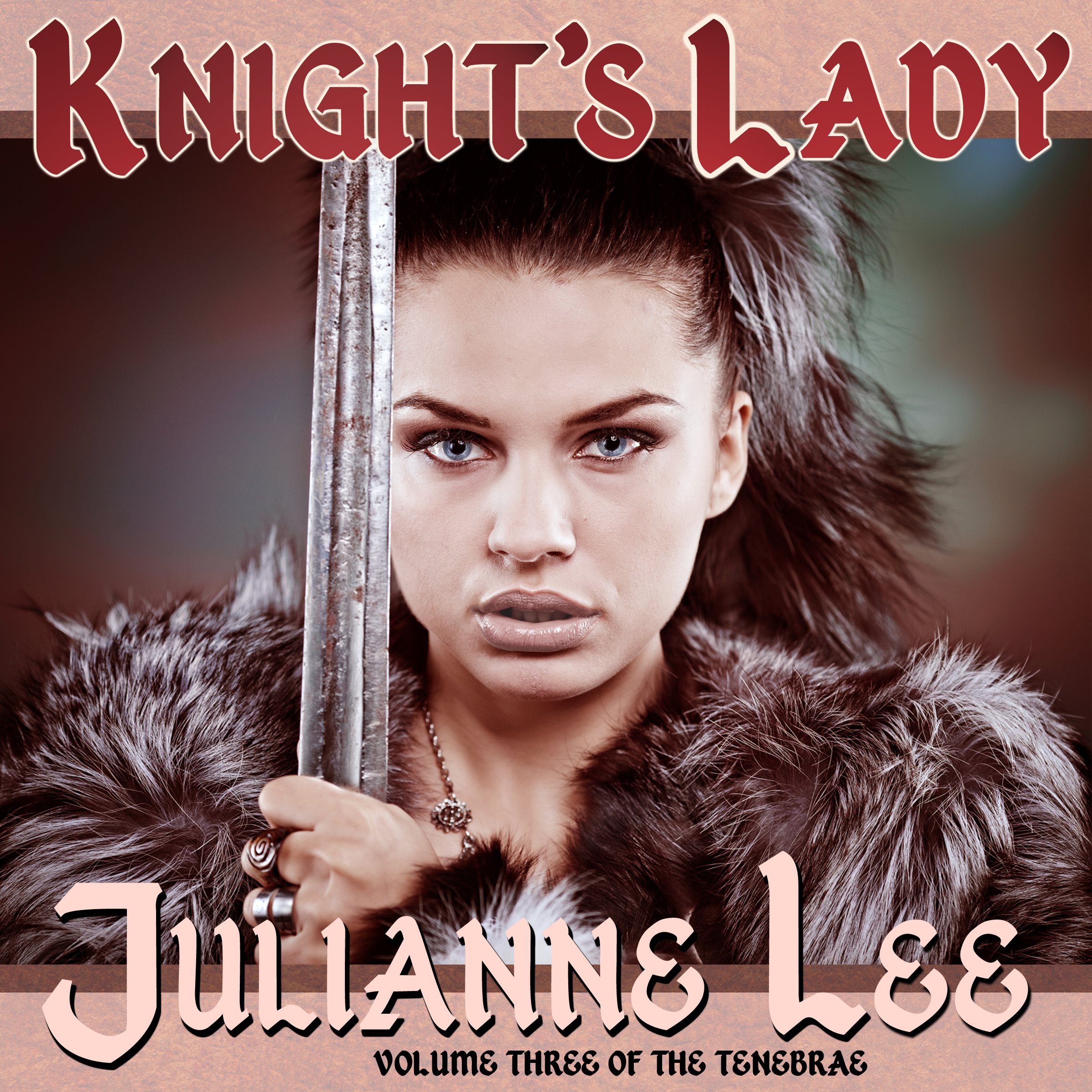 Cover art for Knight's Lady