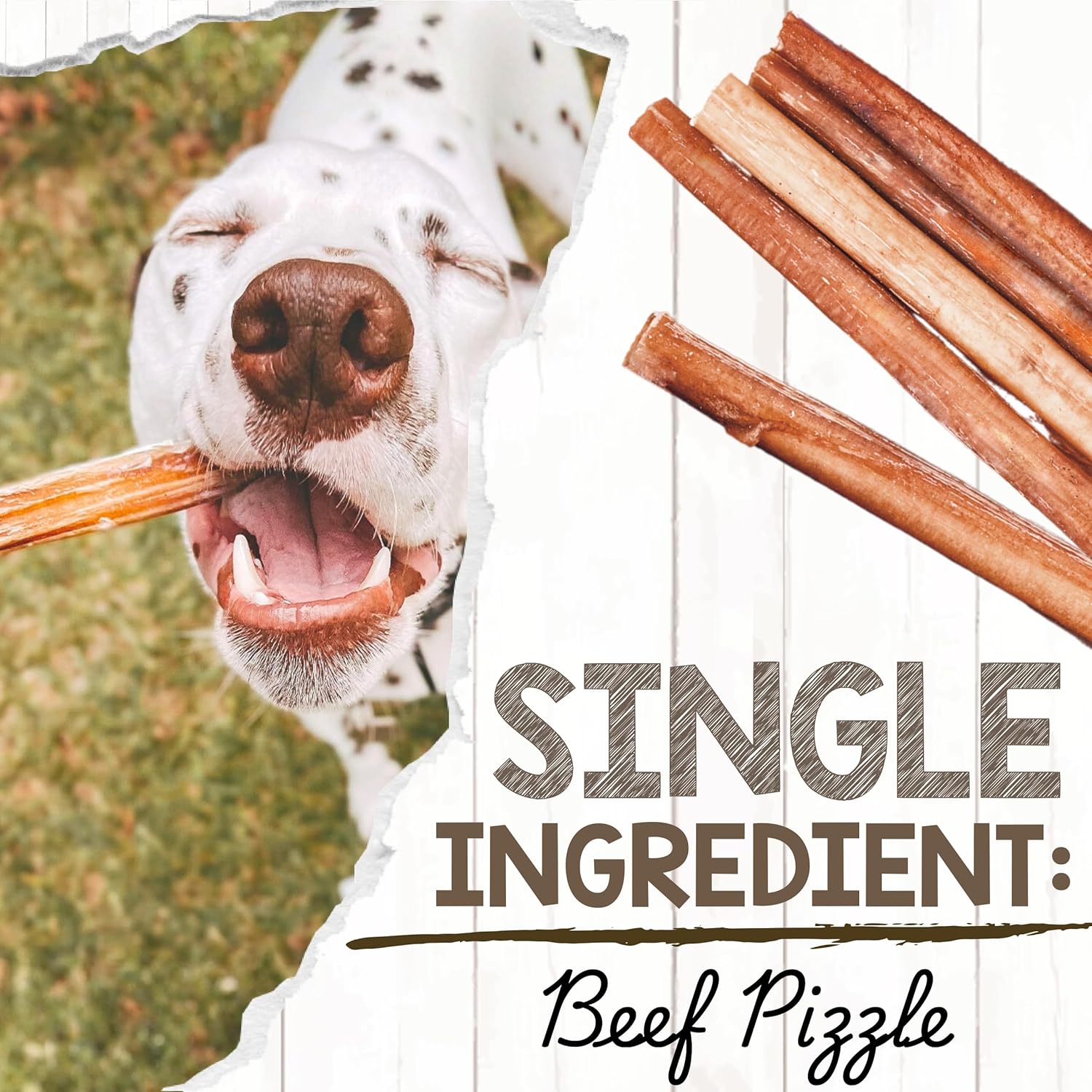 Nature Gnaws Bully Sticks for Dogs 11-12" (1Lb) - Mixed Thickness - Long Lasting for Aggressive Chewers and Large Dogs - Natural Beef Dog Chew Bones