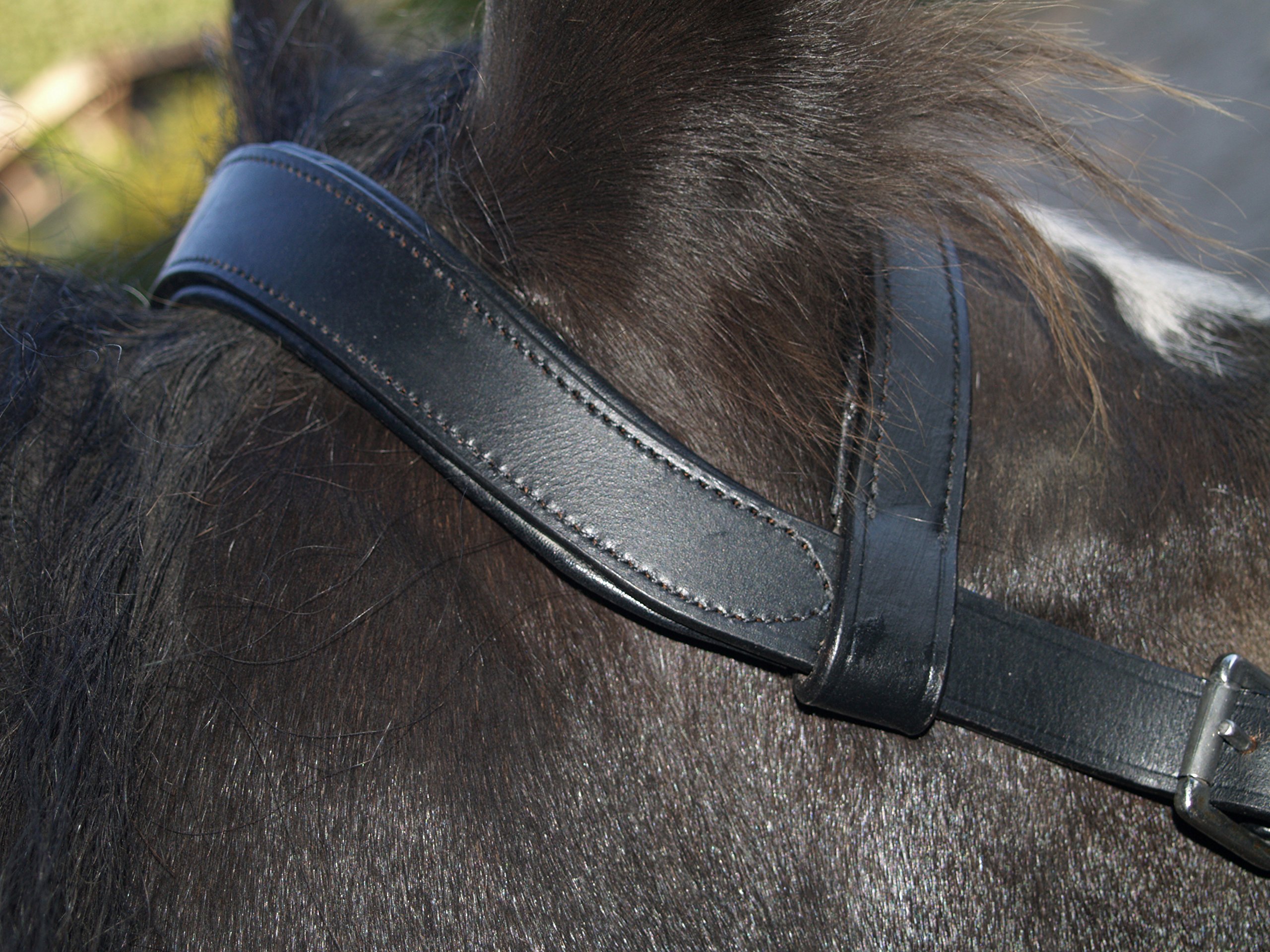 Kappzaum mit Gebiss Einhängung Minipony Minishetty Mini Shetty Pony VB WB Leder Schwarz Tysons (WB)