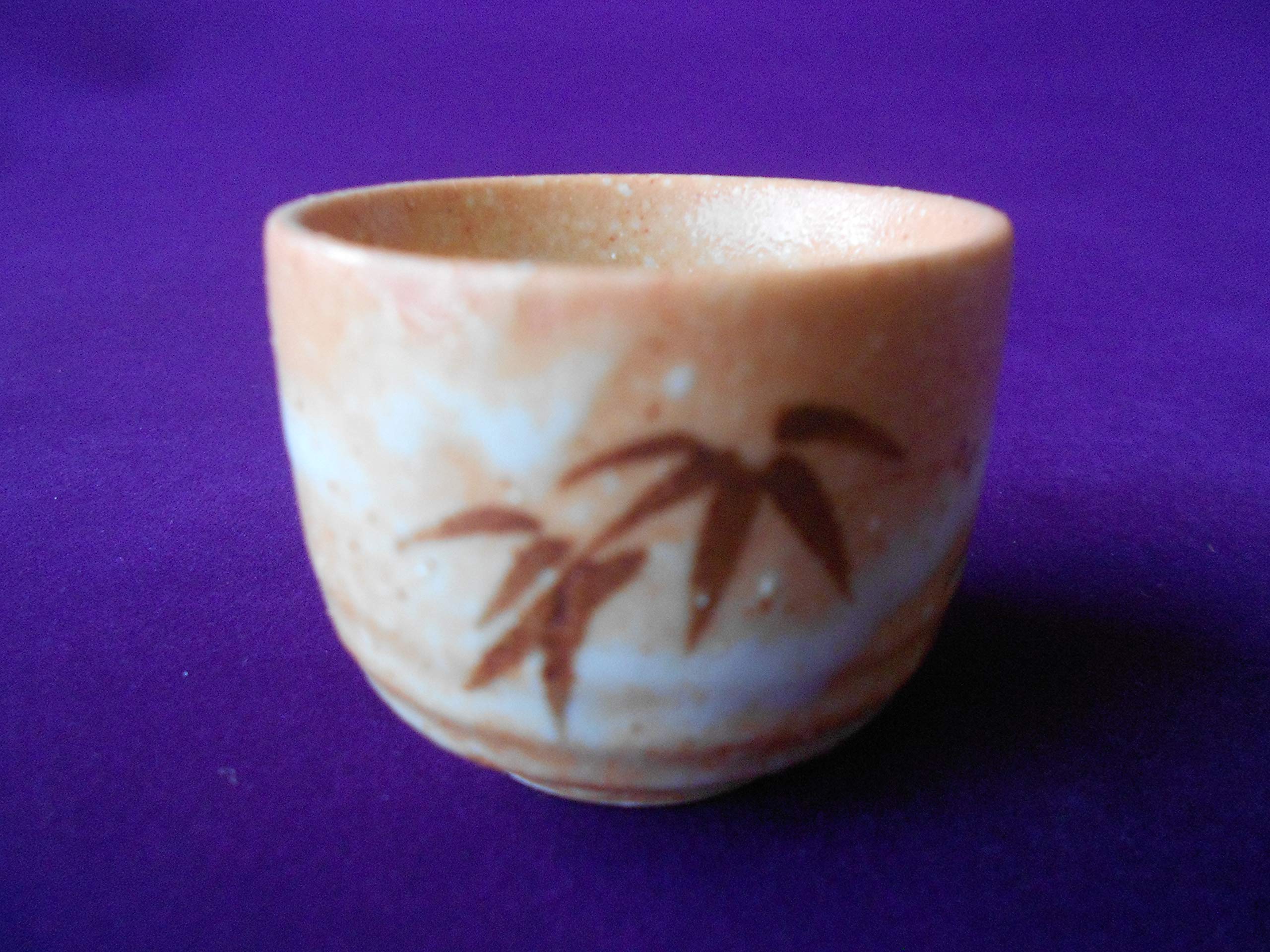 Amazon.co.jp: 美濃焼！ ☆赤志野竹・酒器セット☆ 新品 サカズキ