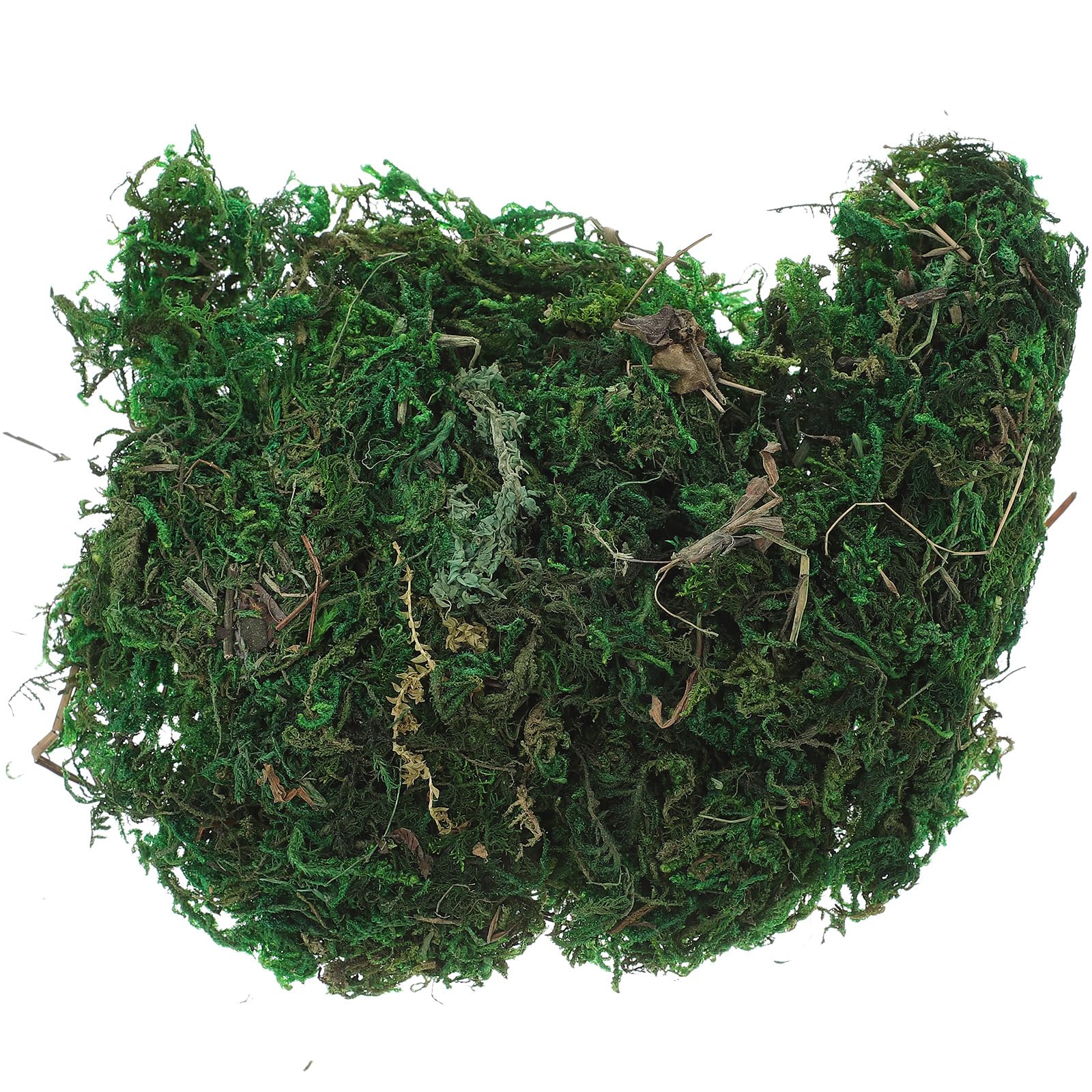 Amazon.com: Garneck Artificial Moss Lichen Simulation Fake Moss