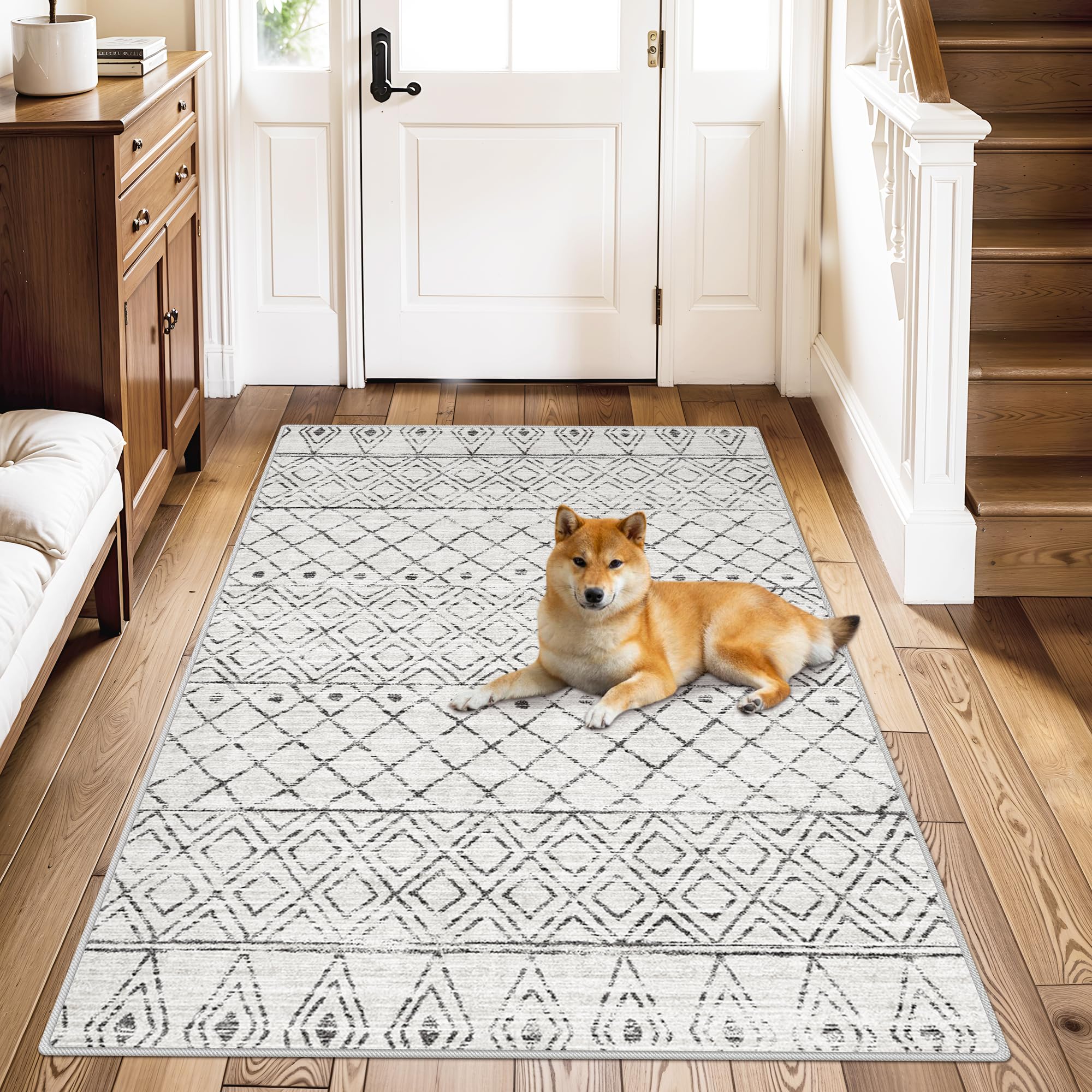 Amazon.com: BYYVOO Washable Area Rug 3x4: Living Room Rugs