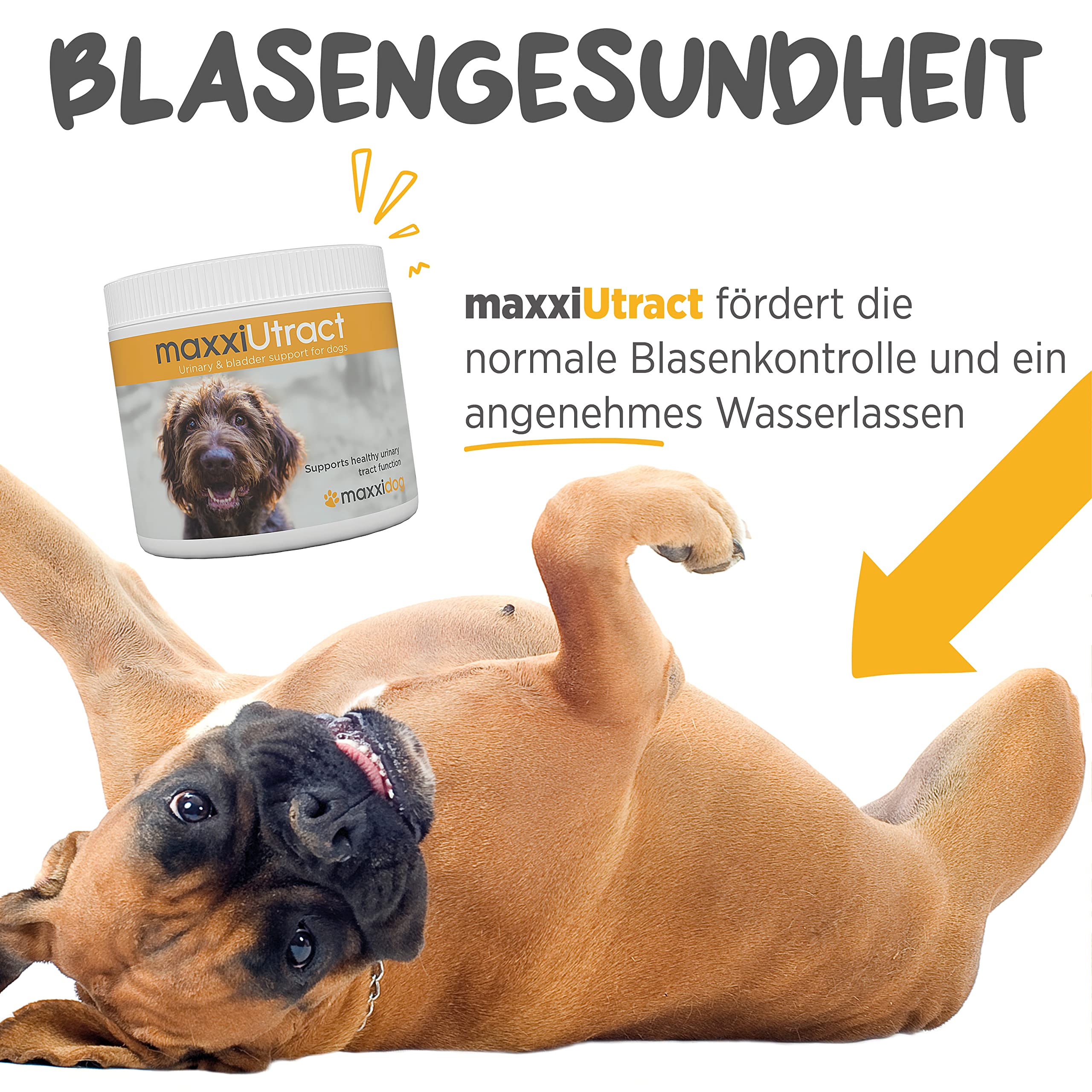 maxxipaws maxxiUtract Harnwegs- und Blasenunterstützung - Nahrungsergänzungsmittel in Pulverform für Hunde, 150g