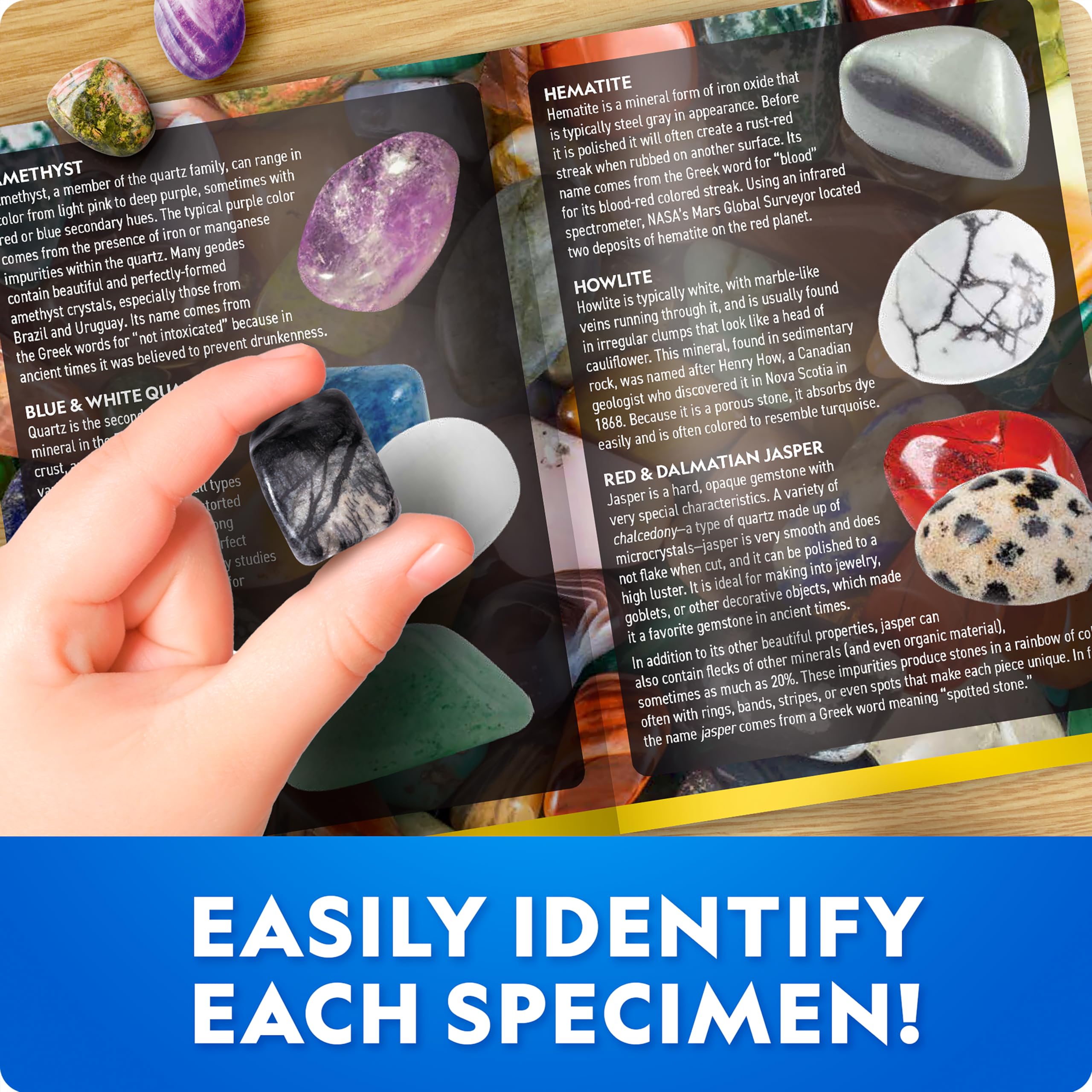 Amazon.com: National Geographic Gigantic Gemstone Dig Kit