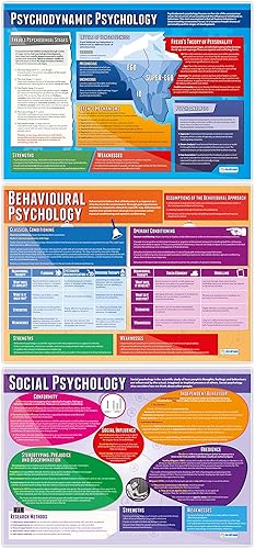 Miniatura 4 de Daydream Education Psychological Approaches - Pósteres de aula  Juego de 5  Extra Grande 33 x 23.5 pulgadas  Papel brillante  Decoración de clase de
