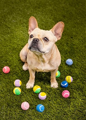 Miniatura 5 de Midlee Mini pelotas de tenis chirriantes para perros de 1.5 pulgadas, color rosa, juego de 6