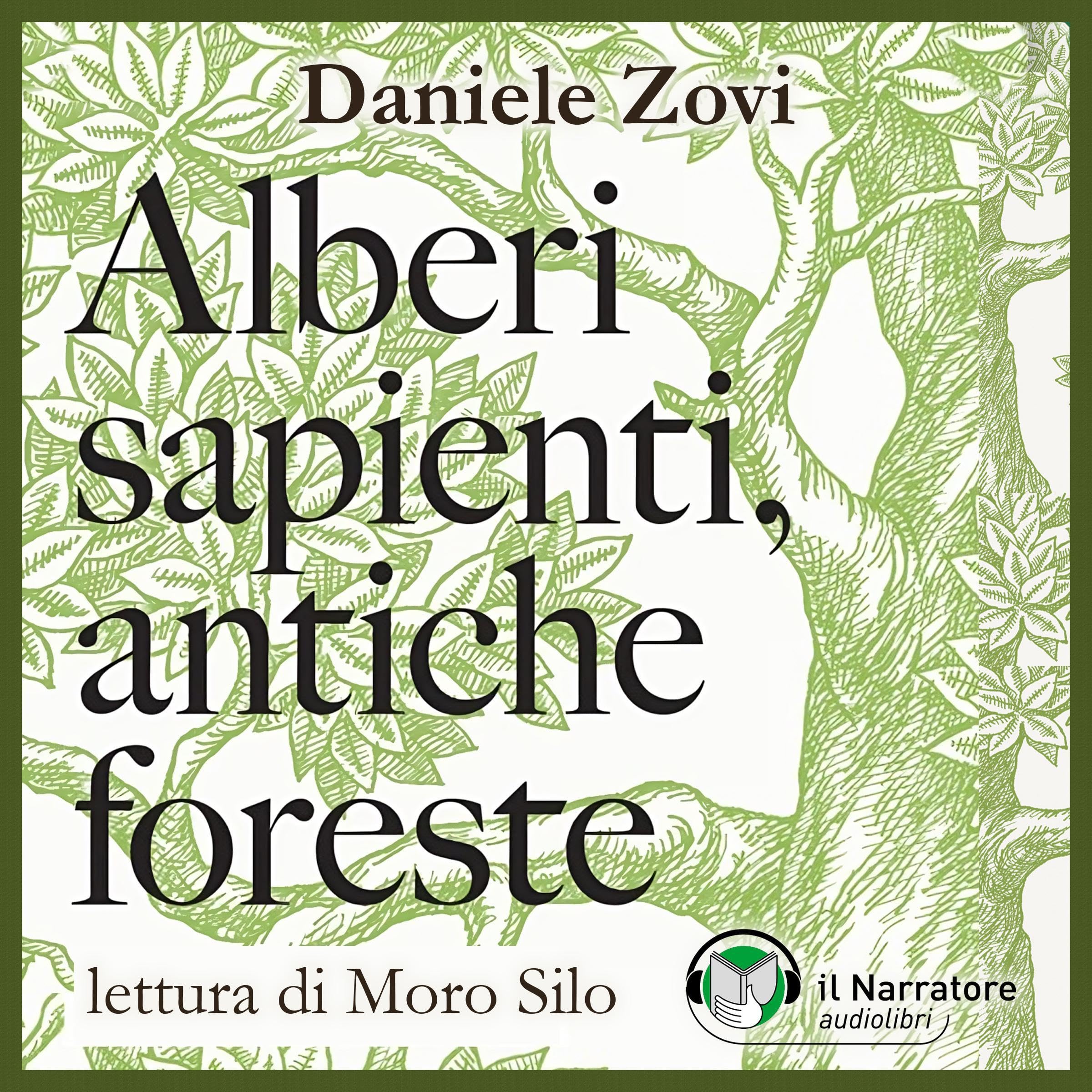 Alberi sapienti, antiche foreste: Come guardare, ascoltare e avere cura del bosco