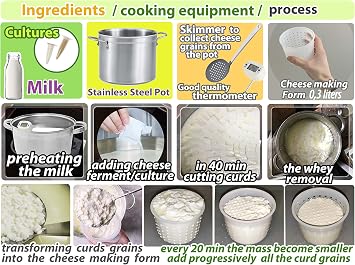 3 pcs Small Cheese Mold for Cheese Making 1/3 qt - Soft Cheese Molds - Homemade Cheese Making Supplies - Cream Cheese Form Mold - Moldes Para Queso Fresco Casero - Feta Ricotta Cheese Making