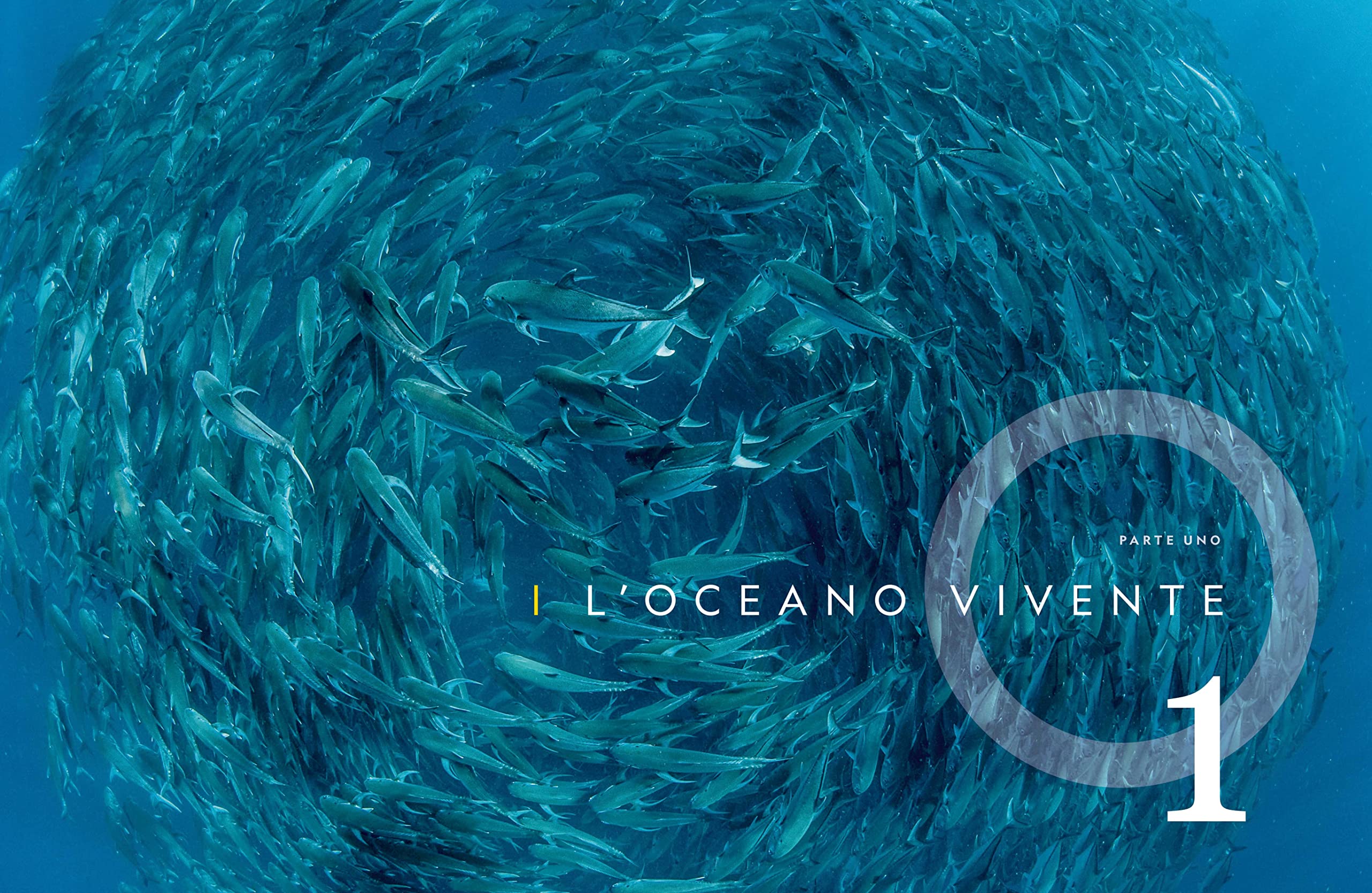NATURA E POPOLI - Oceani: L'ultima odissea | National Geographic | Edizione Illustrata | Impegno Globale per la Natura