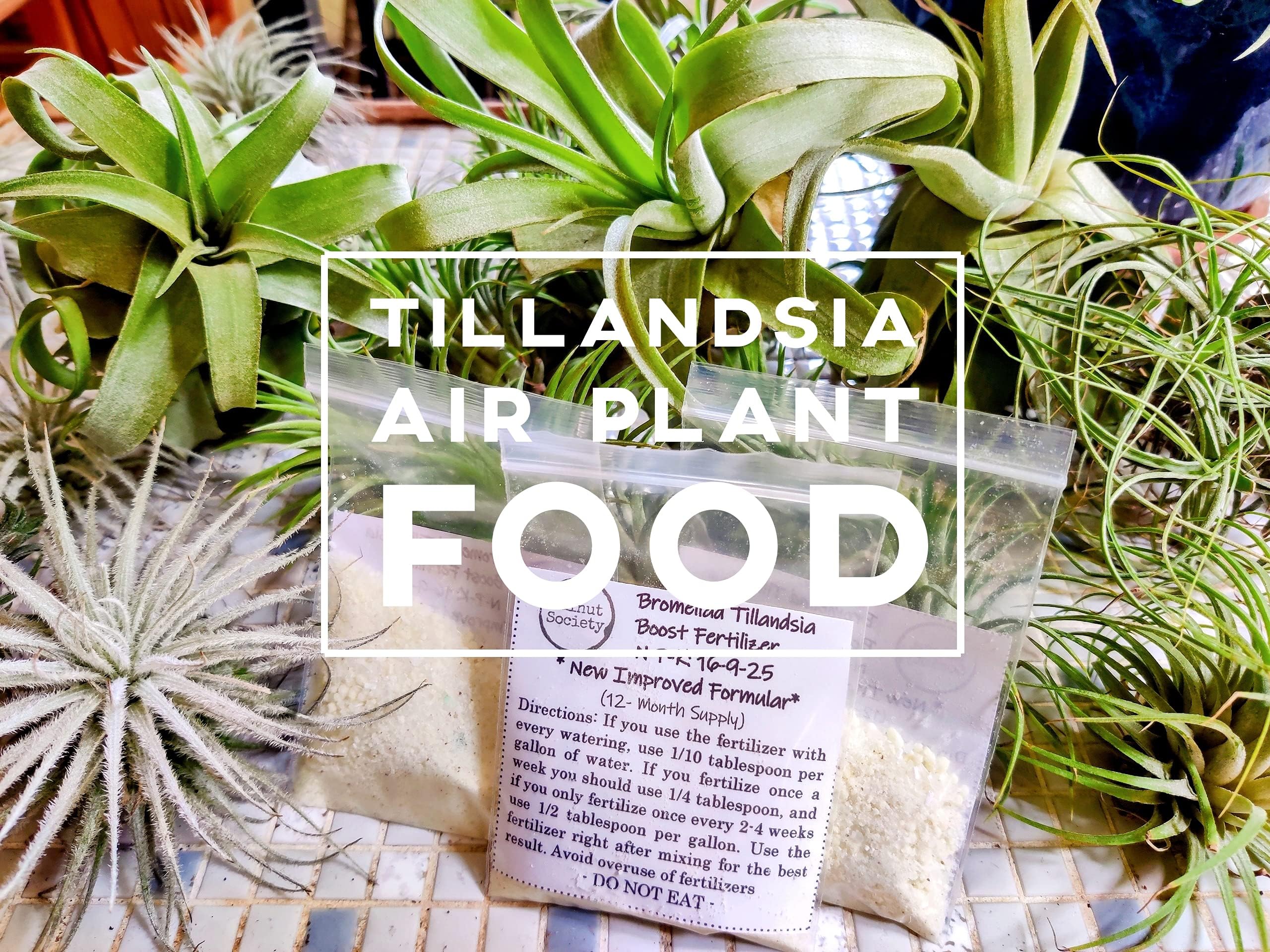 Bromeliad Tillandsia Fertilizer || AirPlant Food || 16-9-25 (12- Month Supply || ~0.8 oz)