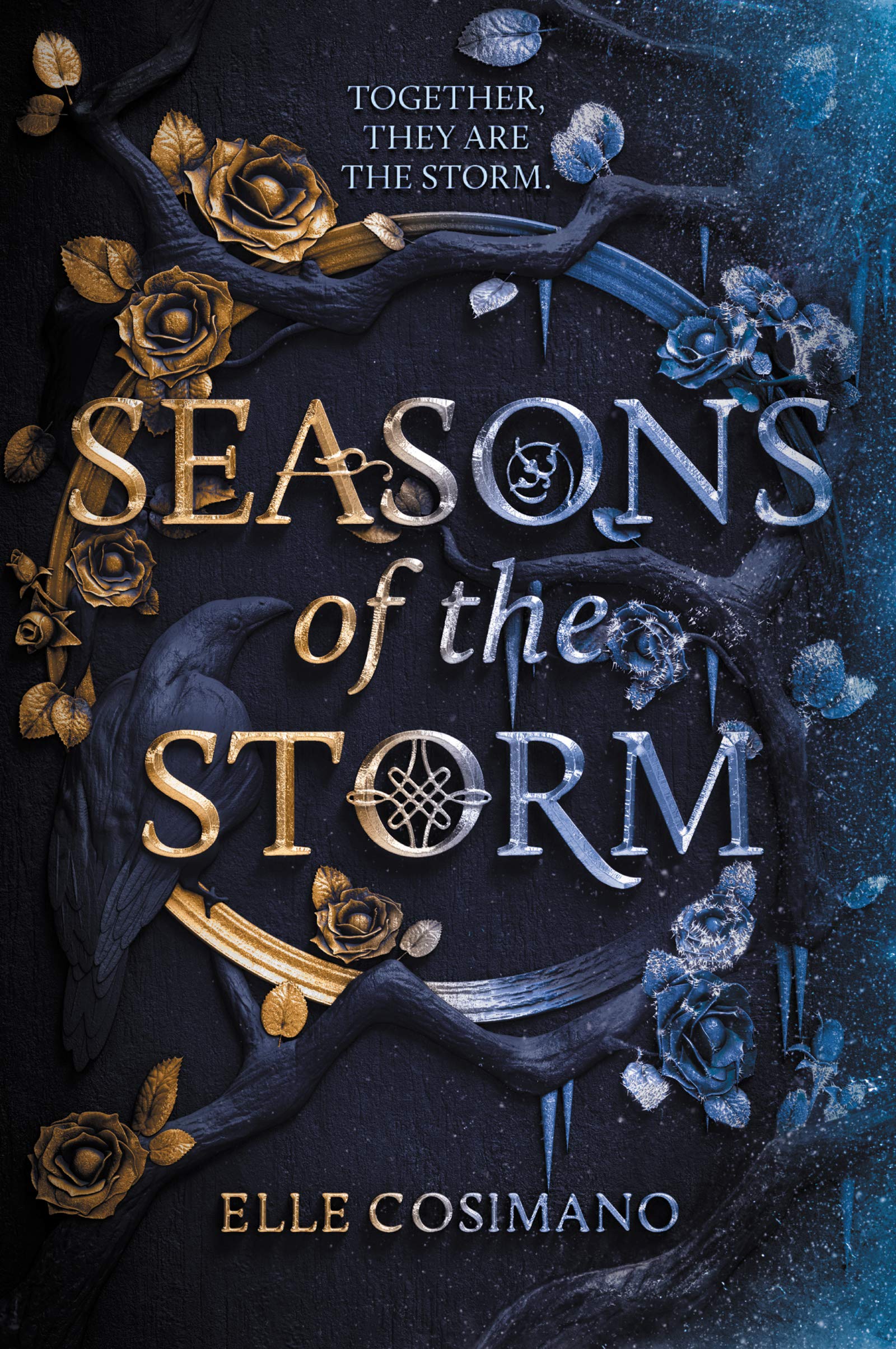 Harperteen Seasons of the Storm