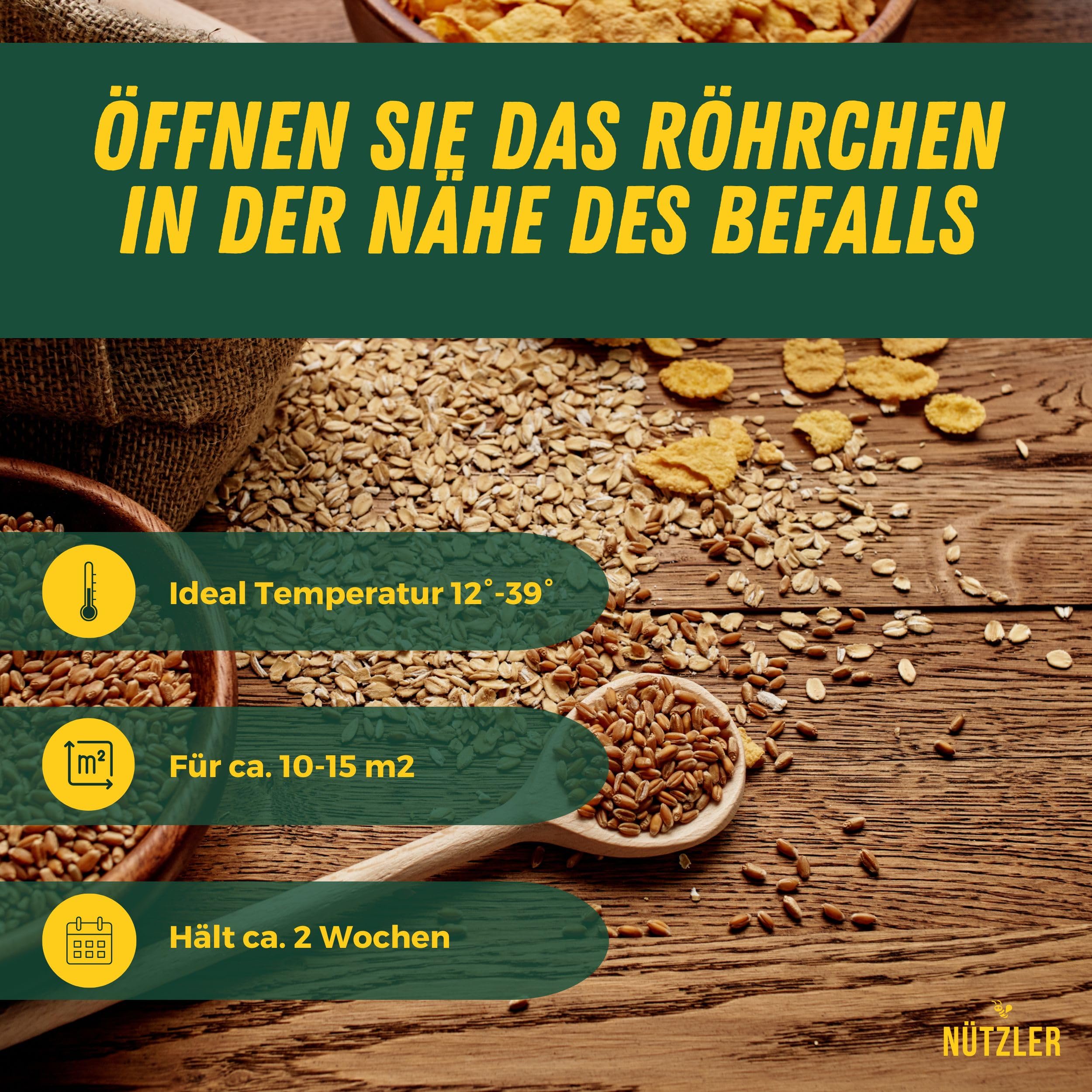 Lagererzwespen - 40 Nützlinge - Gegen Brotkäfer, Kornkäfer, Maiskäfer, Reiskäfer, Getreidekapuziner uvm - Wirkt NICHT gegen Speckkäfer & Reismehlkäfer - Zwei Lagererzwespen Arten (3 Stück)
