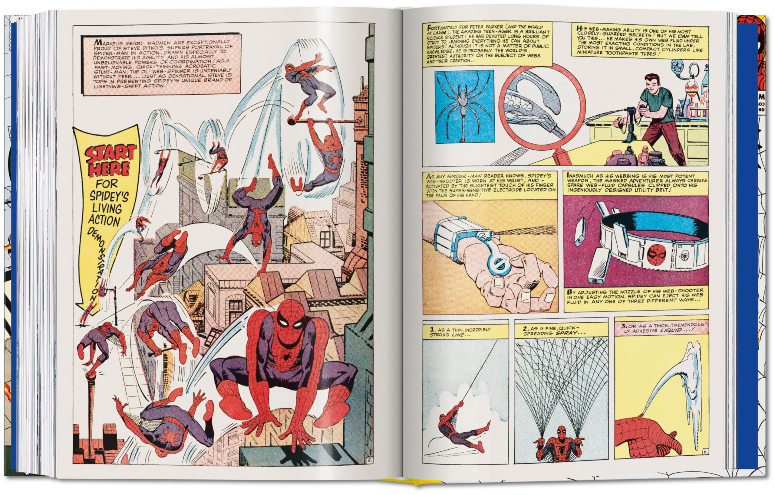 Marvel Comics Library Spiderman: Volume 1: Spider-Man. 1962–1964: Vol.
