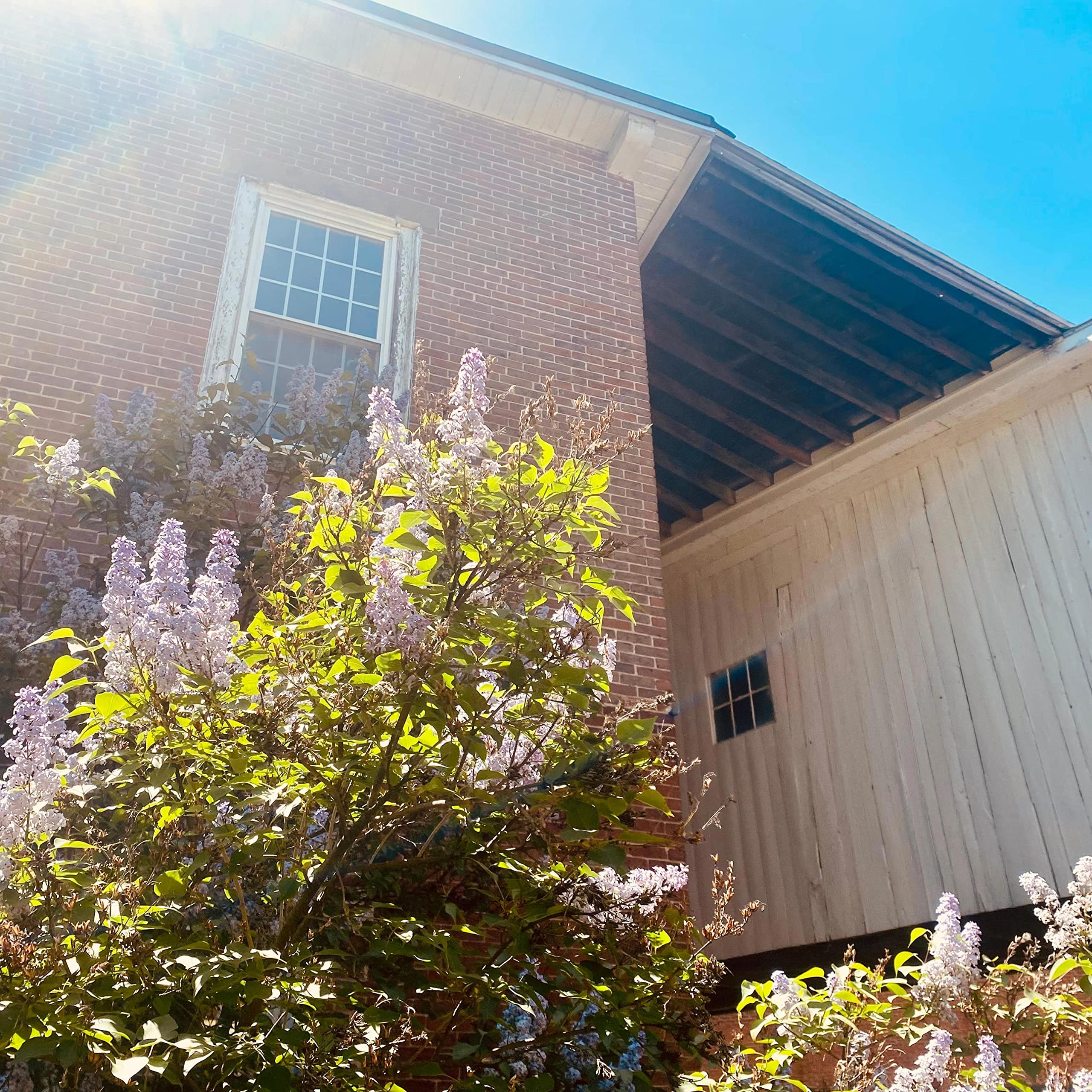 Charlie Chronopoulos