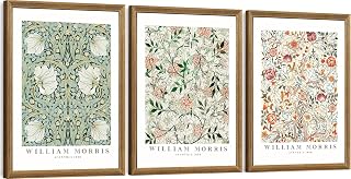 FWAHREN William Morris Framed Canvas Wall Art Set, 3 Piece Vintage Botanical Floral Pattern Pictures Prints Artwork, Large Paintings Wall Decor for Living Room Bedroom Bathroom Office, 12x16in