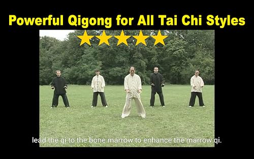Tai Chi Ball Qigong (Dr. Yang) – vue 5