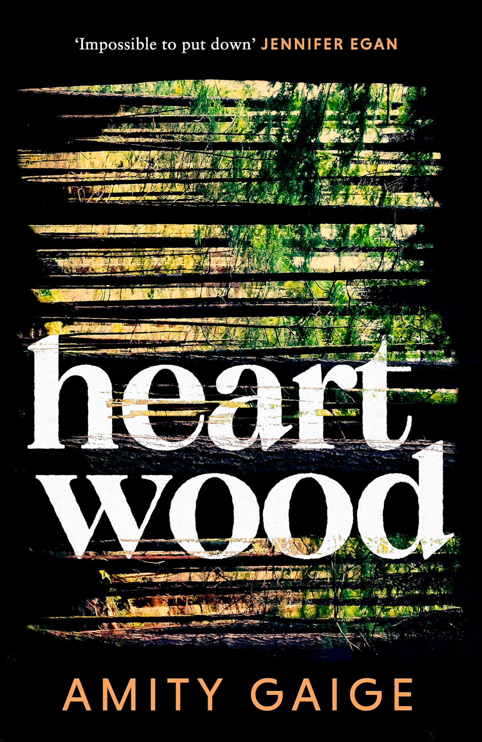 Heartwood: 'nearly impossible to put down' Jennifer Egan