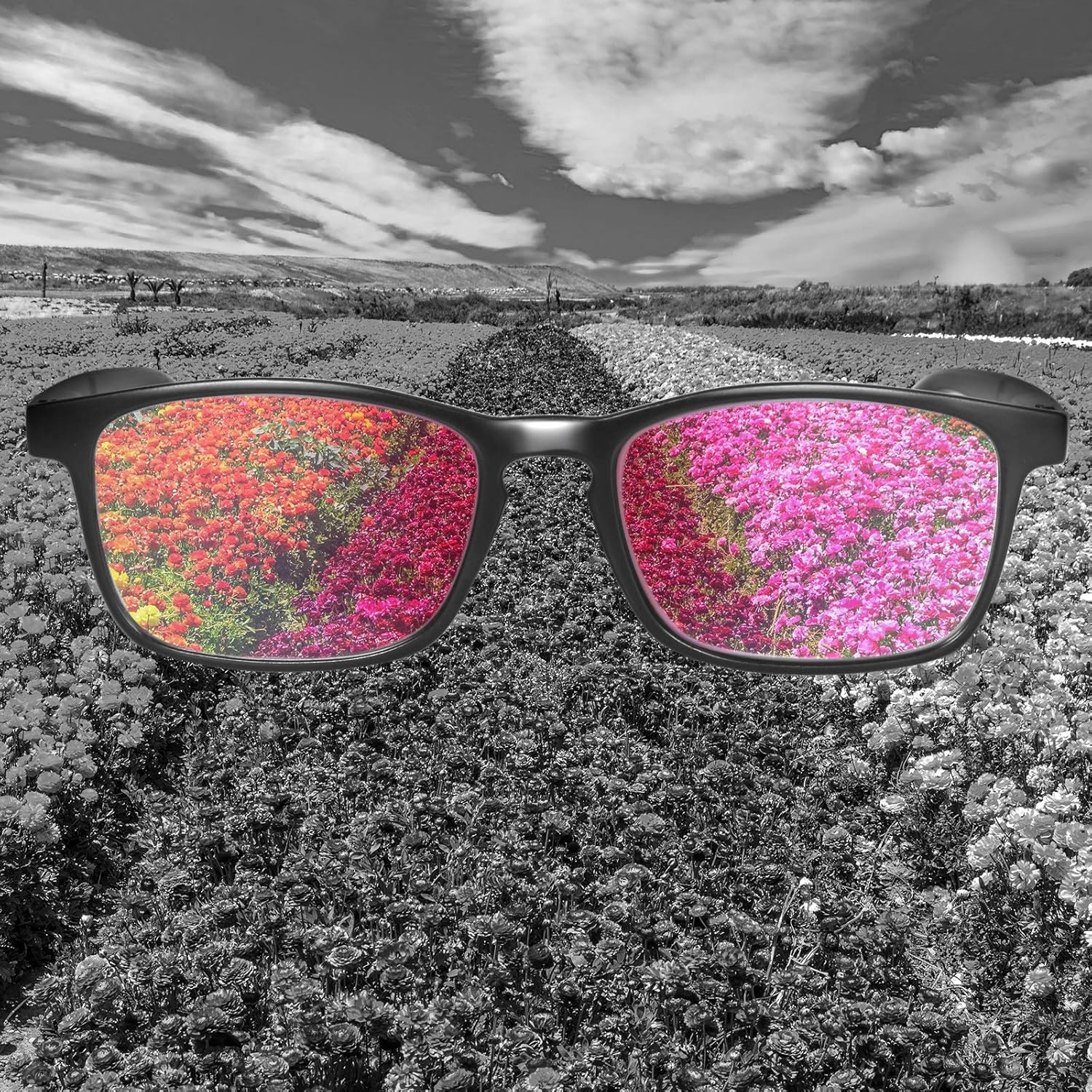 How ColorBlind Corrective Glasses Work atelieryuwa.ciao.jp